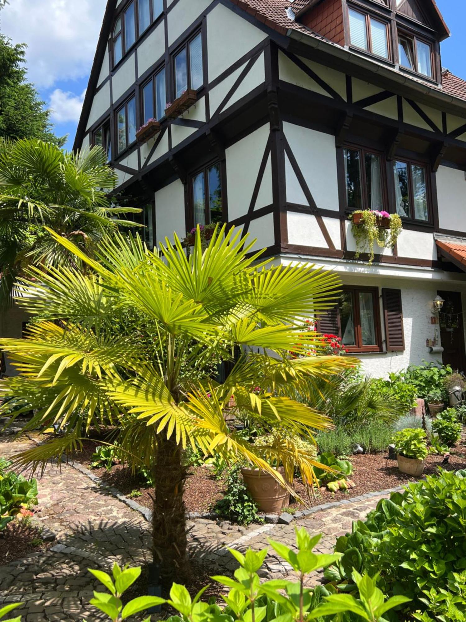 Einliegerwohnung In Einer Muehle Vor Den Toren Frankfurts, Ideal Fuer Messegaeste Oder Stop Over Dreieich Exterior photo